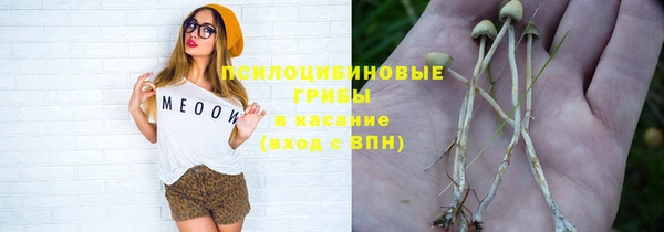 метадон Богородск