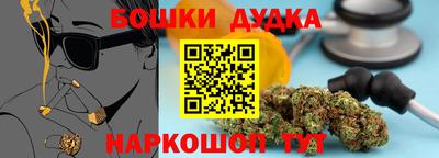 прущие крисы Моздок