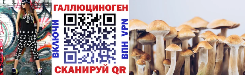 кракен вход даркнет какой сайт Галлюциногенные грибы мицелий где купить наркотик Буйнакск
