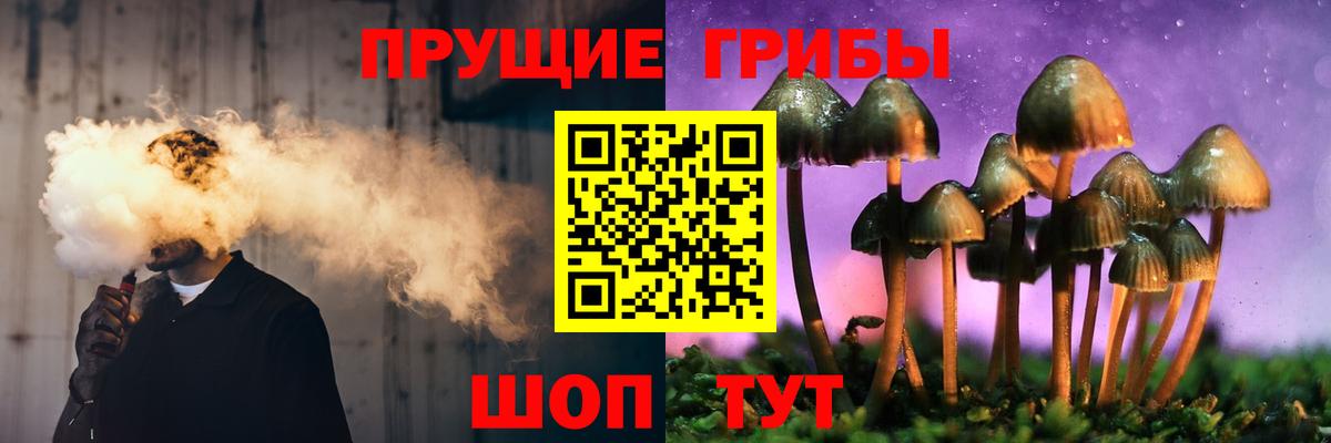 Галлюциногенные грибы MAGIC MUSHROOMS  сколько стоит  Буйнакск  Вход с VPN  Галлюциногенные грибы ЛСД 