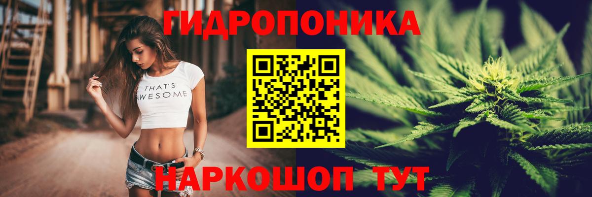 Бошки Шишки план Буйнакск